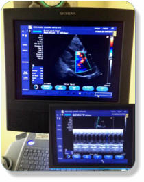 Ultraschall für Tiere bei Trächtigkeit, Röntgen, Endoskop