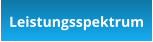 Leistungsspektrum