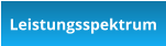 Leistungsspektrum