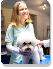 Homopathie, Naturheilkunde fr Tiere
