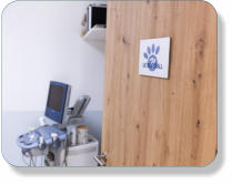 Tierarztpraxis, Kastration, Zahnbehandlung, Verhaltentherapie