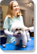 Homopathie, Naturheilkunde fr Tiere
