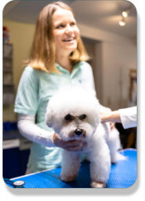 Homopathie, Naturheilkunde fr Tiere