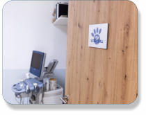 Tierarztpraxis, Kastration, Zahnbehandlung, Verhaltentherapie