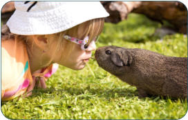 Tierarzt fr Kleintiere zwischen BAyreuth und Kulmbach