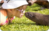 Tierarzt fr Kleintiere zwischen BAyreuth und Kulmbach