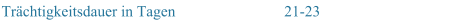 Trchtigkeitsdauer in Tagen 21-23